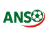 AllNigeriaSoccer Logo